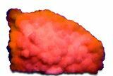 Superb Manganoan Calcite Crystal Cluster - Highly Fluorescent! #360491-2